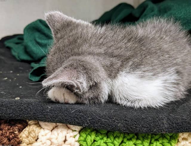 kdrurBw